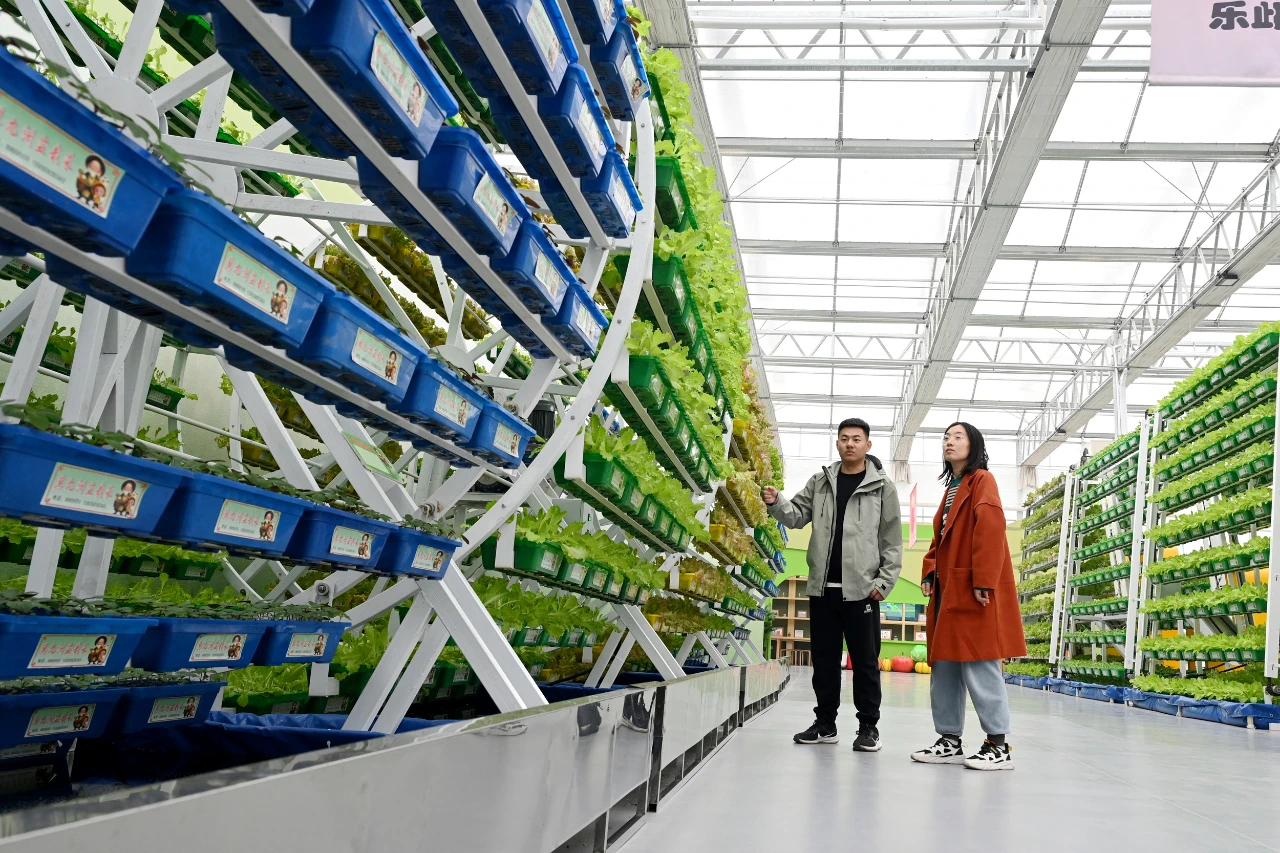 衡水冀州：推动农文旅融合发展 助力乡村游提质增效