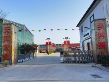 杨屯万亩花海研学基地