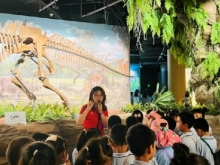 畅游海洋世界 尽享科技魅力