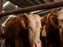 探究科技发展 感受生活变化