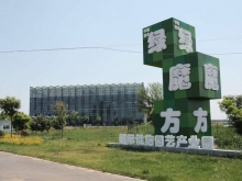 一片苇叶的故事