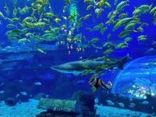 海洋世界 植物王国