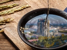 我是小小酿酒师